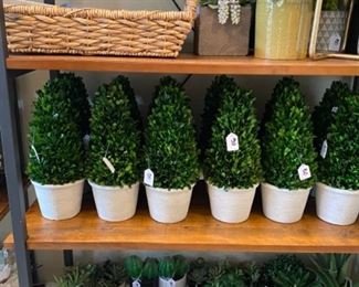 Smith and Hawken Boxwood Cement Pot