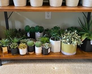 Target Cactus Flowers