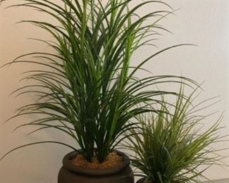 Fred Meyer Floor Plants