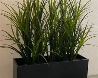 Fred Meyer Floor Plants