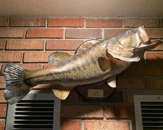 Item #39: $65ea. Taxidermy, bass fish. Mounted on wood with brass name plate/ owner's name.   Approx.25 L"
