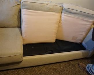 sleeper sofa