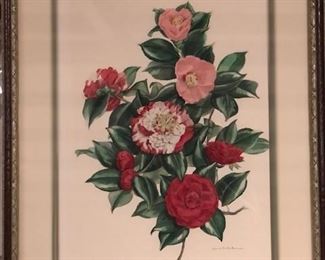 One of many beautiful camellia prints and originals