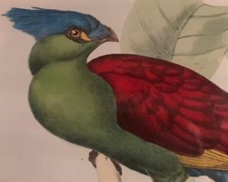 another close up. We have 3 of these, frames are beautiful too