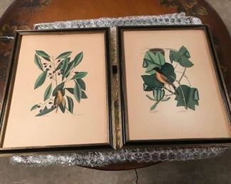 vintage bird prints, there are 4 or 5 of these