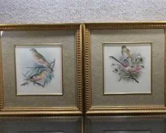 Lot of 2 Song Birds | Art Prints | J. G. Keulemans | Gold Tone Wood Frames | 14.5" x 15.25"