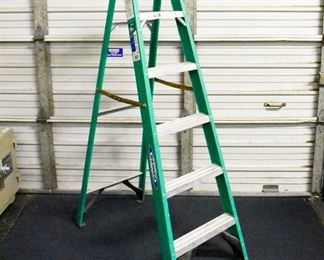 Werner 6 Foot Fiberglass Ladder