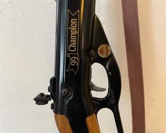 99 Champion Daisy BB Gun