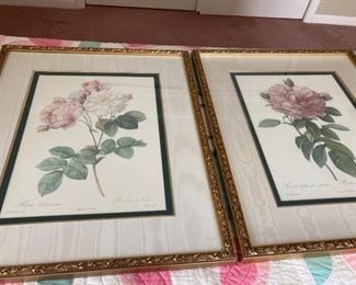 The Rose Prints