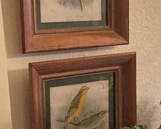 Two more framed birds