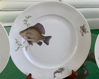 KPM Krister (Germany) Platter and Plates. Beautiful fish motif. This fun lot includes a platter, gravy dish and 12 plates in four different patterns. No noticed chips or cracks. The platter measures 24" x 9"