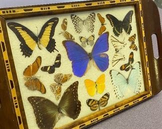 Vintage Serving Tray w/ Butterflies - very colorful and fun! Measures 11" x 18" 