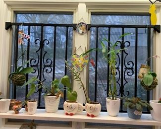 #193 iron bars for windows 22x26  (2) $20 ea