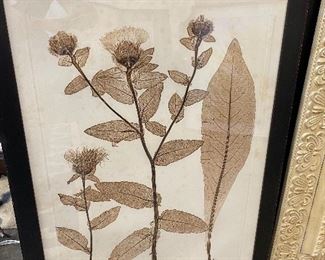 Botanical art