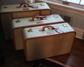 Vintage T. Anthony luggage