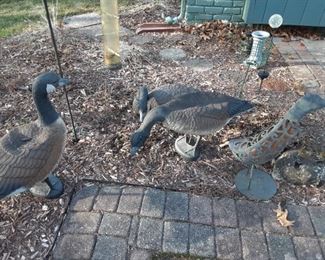 garden geese