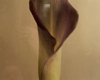 Hobby Morrison, Louisiana, 20th century, Internationally known and awarded film producer and director, studied photography under Elmore Morgan, Jr.