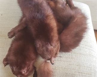 Vintage Mink Collar with head/tails/feet