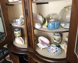 lots of shells at this sale