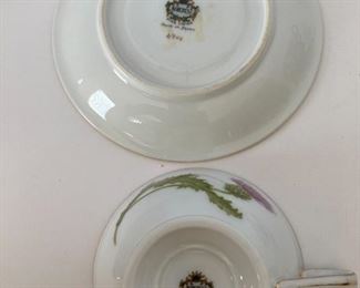 Beautiful tea cup and saucer