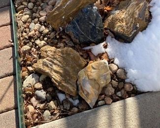 Petrified Wood