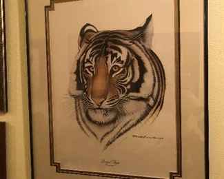 Richard Evans Younger Bengal Tiger 
