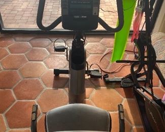 Recumbent stationary bike by Golds Gym Power Spin 390 R 