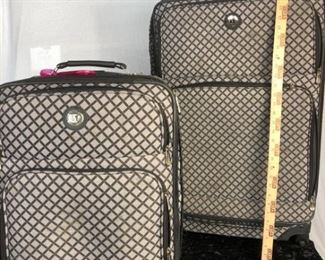 Two Piece Leisure International Luggage Set