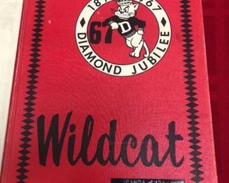 1960s Wildcat Yearbooks and Desk Lamp