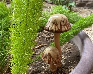 Patio mushroom