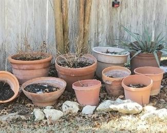 Pots and planters, Spring is coming