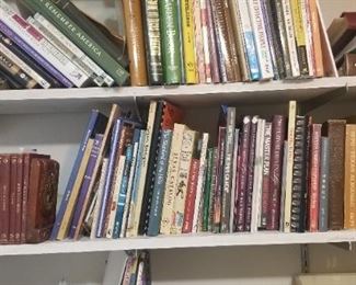 just a tiny view of the books