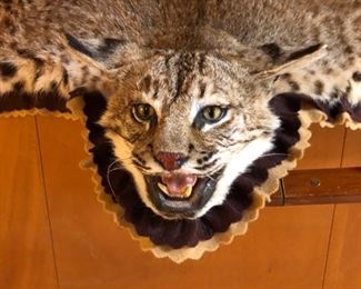 Full body Bobcat rug. 40” from tail to nose. Professional double felt backing. Great coloration, soft for, shows no signs of wear or age.
