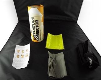 Panady the posture corrector.