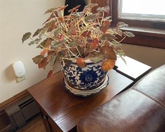 Here's that matching Begonia.