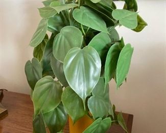 . . . a faux philodendron