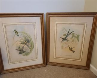 Two lithographs by J. Gould and H.C. Richter of hummingbirds with their amazing colors. See these usually speedy birds frozen in motion and be able to enjoy their beauty. Frames are similar but different in style. They measure the same 25" x 1 1/2" x 32".

https://ctbids.com/#!/description/share/768221