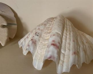 Decorative seashell