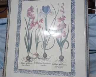 Framed Picture flowers