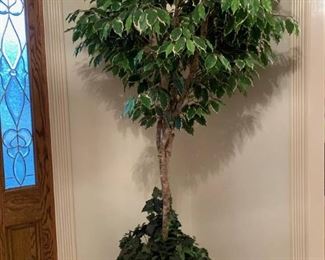 Faux Ficus Tree in Large Colorful Urn