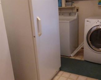 Frigidaire Frost Free Upright Commercial Freezer