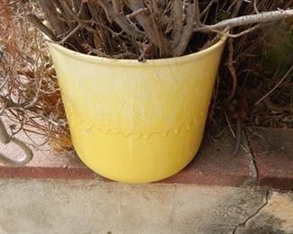 Yellow Drip Glaze Pot - EXTRA PICTURE