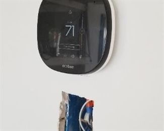 Ecobee smart thermostat. This is a smart home - all light s & outlets are smart