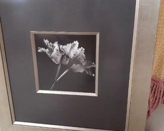 LOT 50 PHOTO NOT available