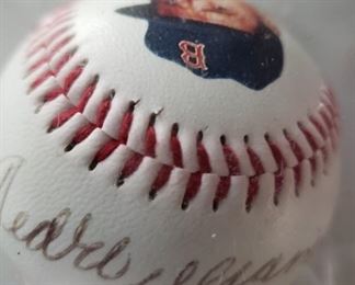 Ted Williams signed Baseball. 