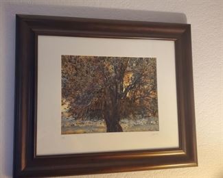 Jean-Claude Louis Signed and Numbered print Olive Tree 3/50