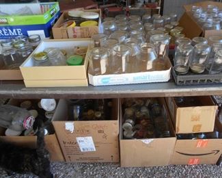 LOTS of CANNING JARS 