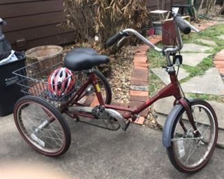 Trifecta Three Wheel Bicycle