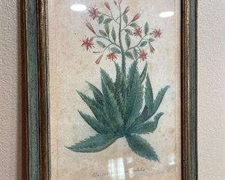 Framed botanicals.