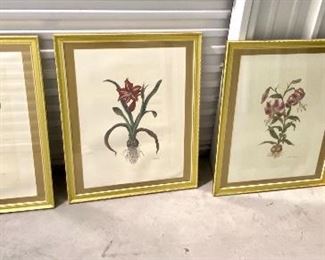 35.	4 Framed Prints of Lilies 30.5”H x 2’W		$45